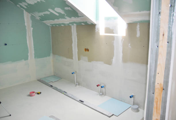 Best Mold Damage Restoration  in USA